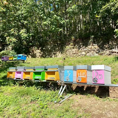 Appartamento Casa Giuliana